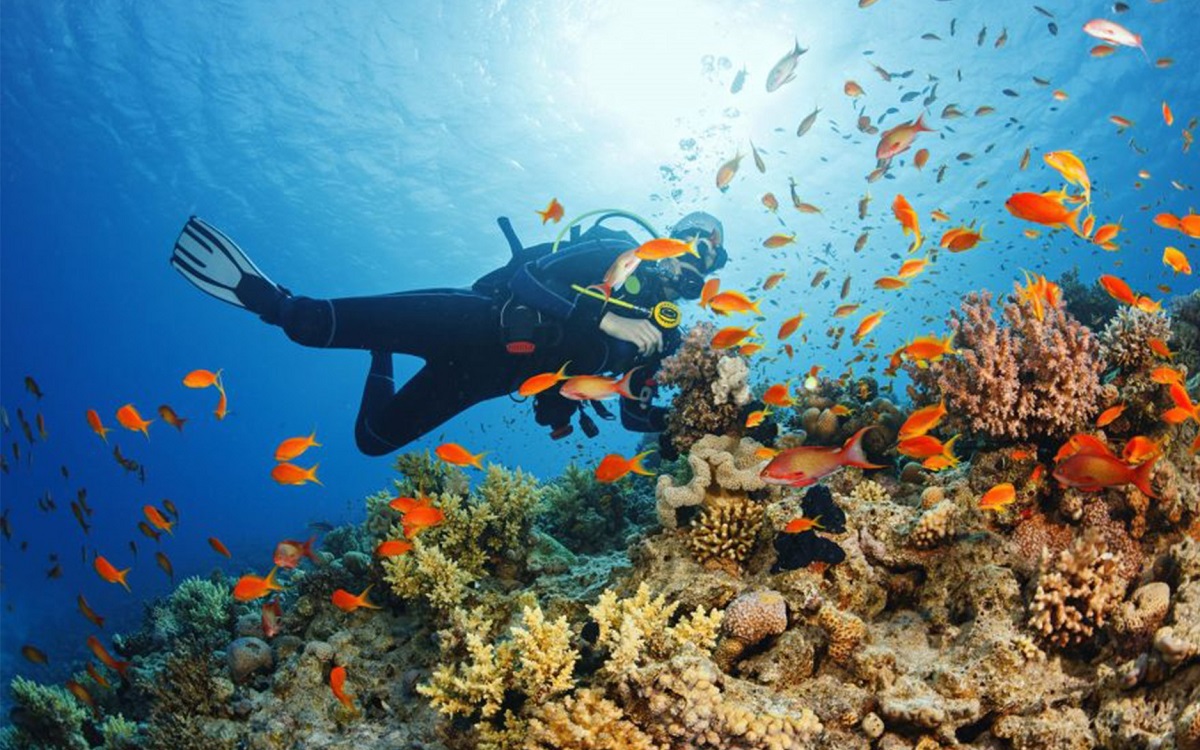 ZANZIBAR SAFARI BLUE TOUR